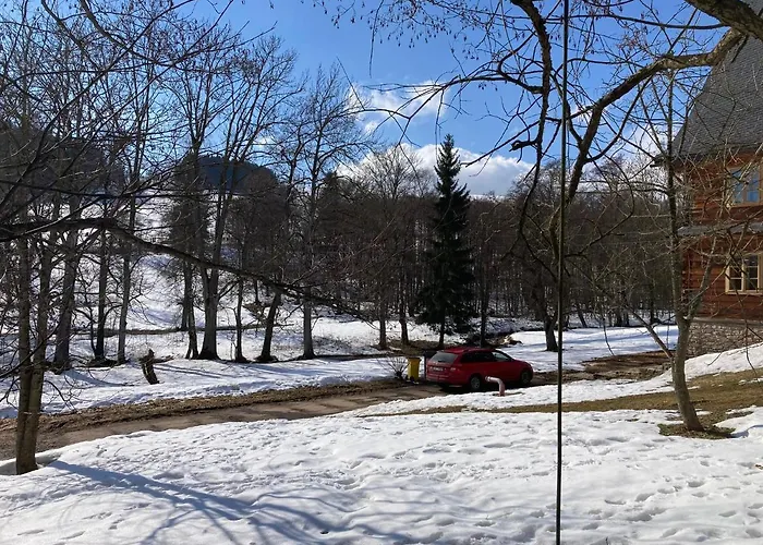 Samota U Hadince Πανσιόν Bartosovice v Orlickych Horach